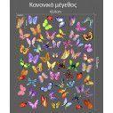 Kids wall stickers Butterflies Collection 