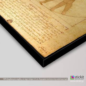 Πίνακας σε καμβά The Vitruvian trooper (based on The Vitruvian man by da Vinci) Όψη 1 2