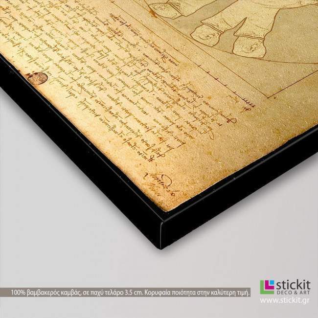 Canvas print The Vitruvian minion (based on The Vitruvian Man by Leonardo da Vinci), detail