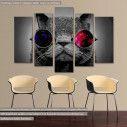 Canvas print Cat and the cosmos five panels