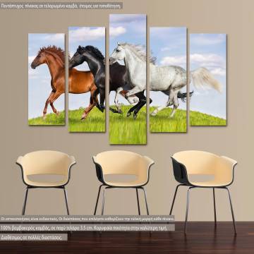 Canvas print Horses  galloping five panels
