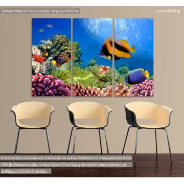 Πίνακας σε καμβά Coral reef, τρίπτυχος