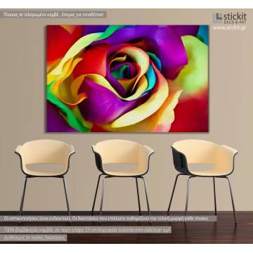 Canvas print Rose, multicolor rose