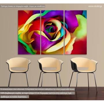 Canvas print Rose, Multicolor rose,  3 panels