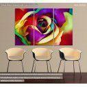 Canvas print Rose, Multicolor rose,  3 panels