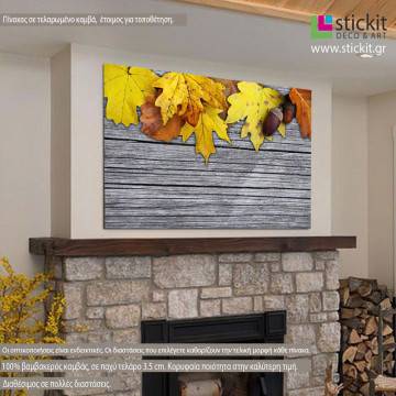 Canvas print Maple and oak leaves