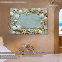 Canvas print Sea shells frame