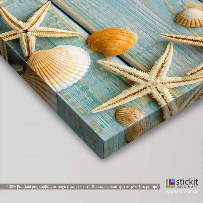 Sea shells frame, πίνακας σε καμβά με κοχύλια, λεπτομέρεια
