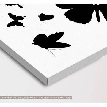 Canvas print Butterflies, Butterflies design 2