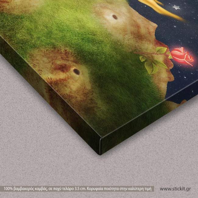 Kids canvas print The Little prince with a rose on a planet