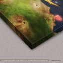Kids canvas print The Little prince with a rose on a planet
