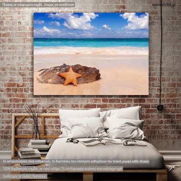 Πίνακας σε καμβά Αστερίας, Starfish on a tropical beach