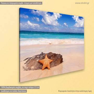 Canvas print Starfish on a tropical beach 2