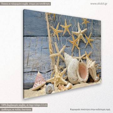 Canvas print Star fish and shells Posthorn snail starfish Framed canvas View 1 2