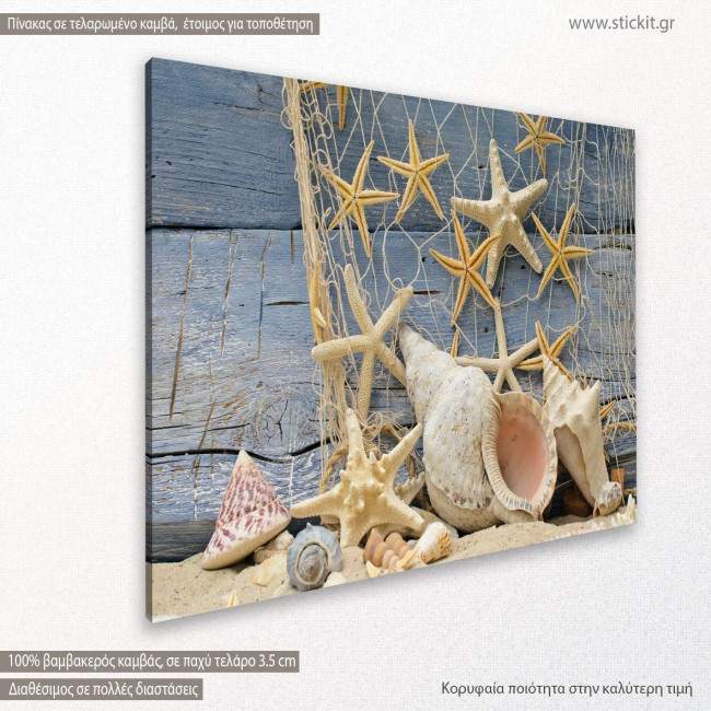 Canvas print Star fish and shells, Posthorn snail, starfish, side