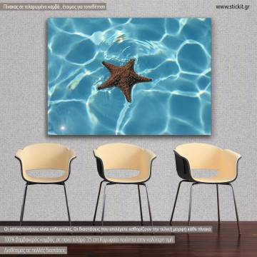 Canvas print Starfish