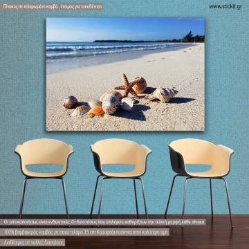 Canvas print  Shellfish