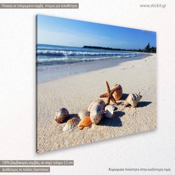 Canvas print  Shellfish Framed canvas View 1 2