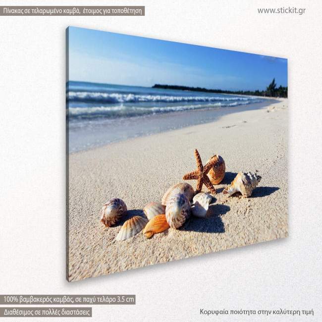 Canvas print  Shellfish, side