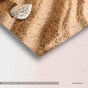 Canvas print Sea star and shells on the beach, detail