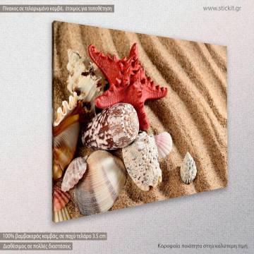Πίνακας σε καμβά κοχύλια,  Sea star and shells on the beach 2