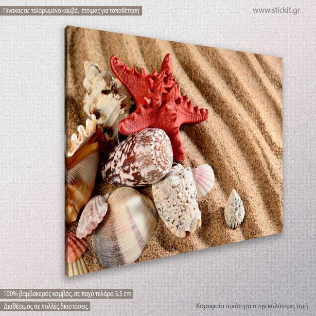 Sea star and shells on the beach, πίνακας σε καμβά, κοντινό