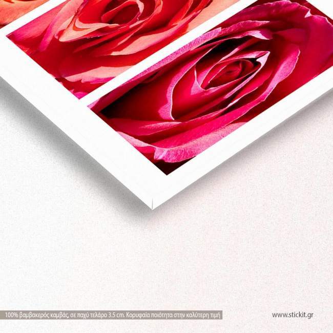 Canvas print Roses everywhere, panoramic, side