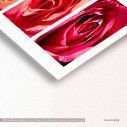 Canvas print Roses everywhere, panoramic, side