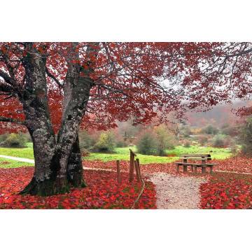 Red leafs αυτοκόλλητο  ντουλάπας 2