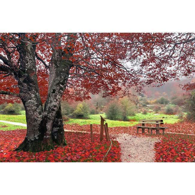 Red leafs, αυτοκόλλητο  ντουλάπας