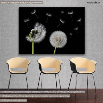 Canvas print Dandelion flower