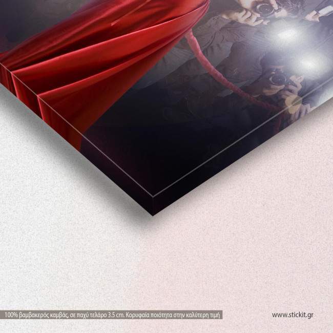 Famous woman posing in front of paparazzi, πίνακας σε καμβά, λεπτομέρεια