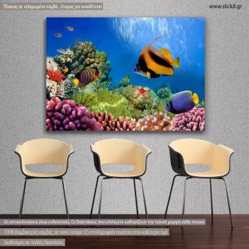 Canvas print Sea bottom, Marine life on the coral reef