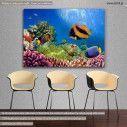 Canvas print Sea bottom, Marine life on the coral reef