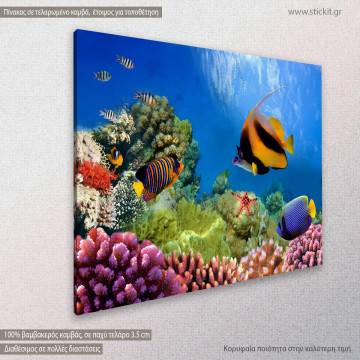 Πίνακας σε καμβά Βυθός, Marine life on the coral reef 2