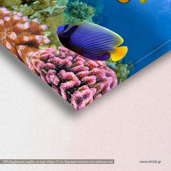 Canvas print Sea bottom, Marine life on the coral reef, detail