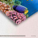 Marine life on the coral reef, πίνακας σε καμβά, λεπτομέρεια