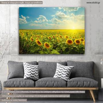 Πίνακας σε καμβά Ηλιοτρόπια, Sunflowers