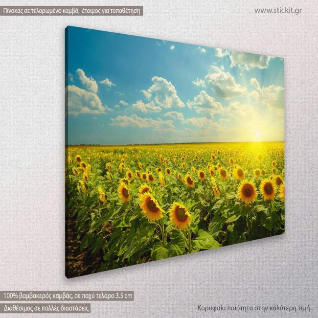 Sunflowers, πίνακας σε καμβά, κοντινό