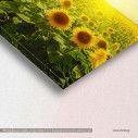 Canvas print, Sunflowers, detail