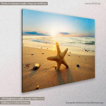 Πίνακας σε καμβά Αστερίας, Starfish on the beach I 2