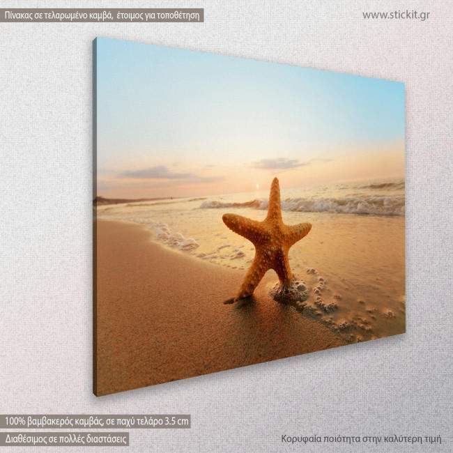 Starfish on the beach II, πίνακας σε καμβά, κοντινό