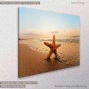Canvas print, Starfish on the beach II, side