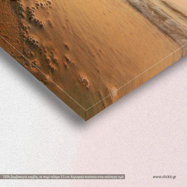 Canvas print, Starfish on the beach II, detail