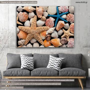 Canvas print, Starfish and shells