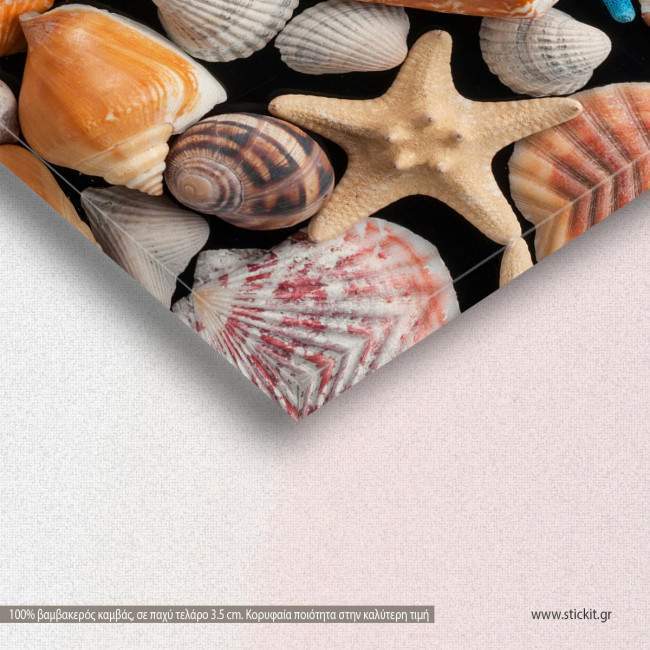 Canvas print, Starfish and shells, detail