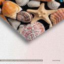 Starfish and shells, πίνακας σε καμβά, λεπτομέρεια