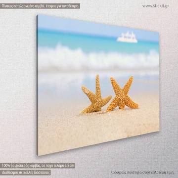 Canvas print, Two starfish on beach 2