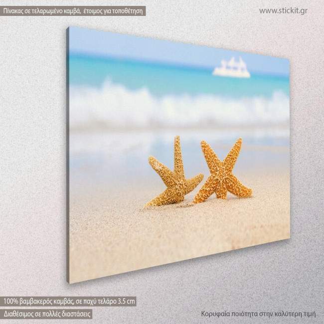 Two starfish on beach, πίνακας σε καμβά, κοντινό