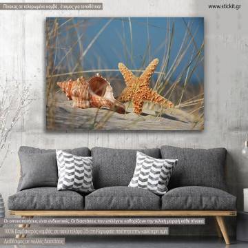 Canvas print, Shell and starfish